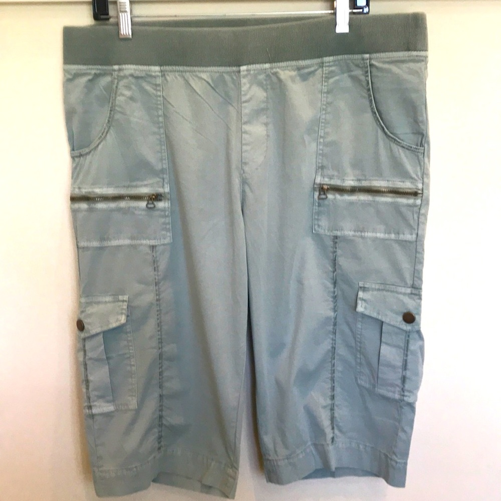 XCVI Zola Bermuda Short in Seafoam Green NWT Size XL